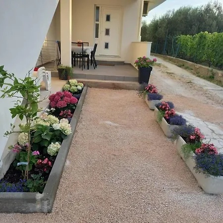 Sara Apartment